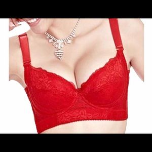 34DD GORGEOUS  bra , NEW❤️